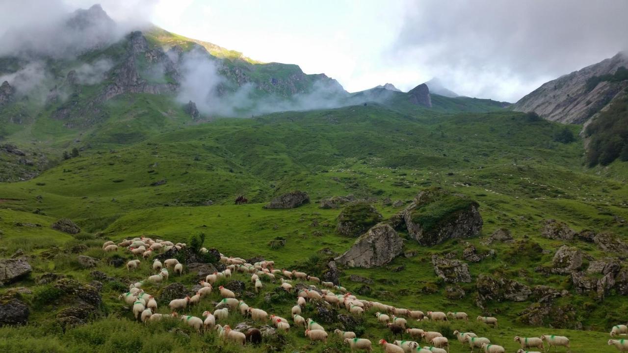 Gite De Montagne Du Plateau De Lhers- Accueil Randonneurs Accous Exterior photo